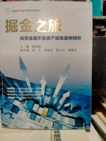 掘金之旅：投资金融不良资产疑难案例精析