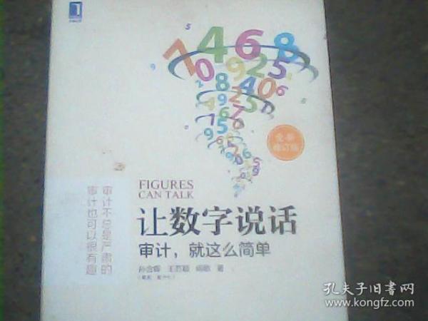 让数字说话：审计，就这么简单