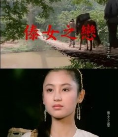 傣女之恋1990-陈红  常戎-1DVD