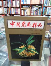 中国兰花精品——投资与栽培