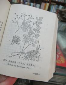 云南中草药（1971年一版一印）