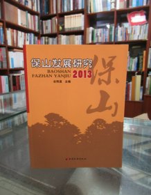 保山发展研究2013