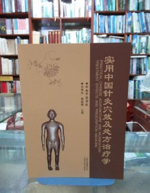 实用中国针灸穴效及处方治疗学
