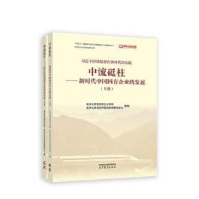 中流砥柱——新时代国有企业的实践（上下册） 北京大学马克思主义学院、北京大学  高等教育出版社 9787040602685