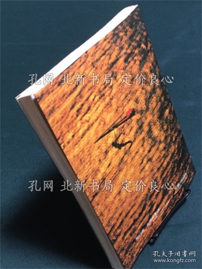 《HANG GLIDER 鸟になる本》平田 实 (著), 宫原 旭 (著)；（HANG GLIDER 鳥になる本）