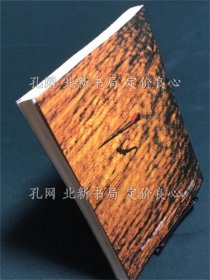 《HANG GLIDER 鸟になる本》平田 实 (著), 宫原 旭 (著);(HANG GLIDER 鳥になる本)