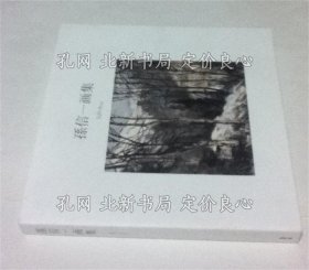 《孙信一画集 SUN Xinyi》江宏 序，1册；（孫信一画集 SUN Xinyi）