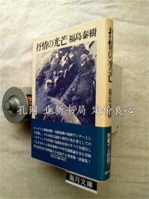 《抒情の光芒 : 评论集》福岛泰树 著，1册；（抒情の光芒 : 評論集）