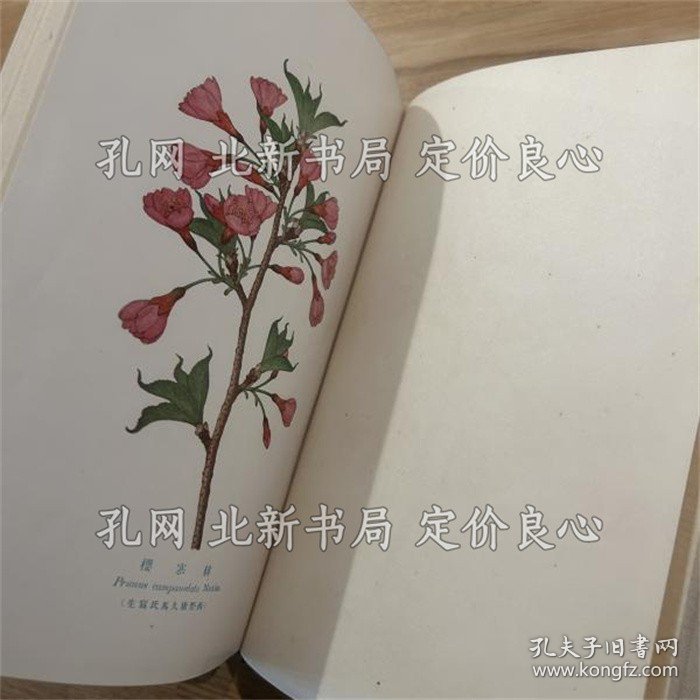 点击查看原图 《樱 正误表付》三好学 著;(桜 正誤表付)