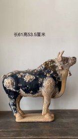 154_唐三彩公牛，包浆厚重，品相完好