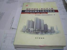 2018 湖北省建设工程公共专业消耗量定额及全费用基价表（土石方·地基处理·桩基础·排水降水）