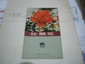 杜鹃花