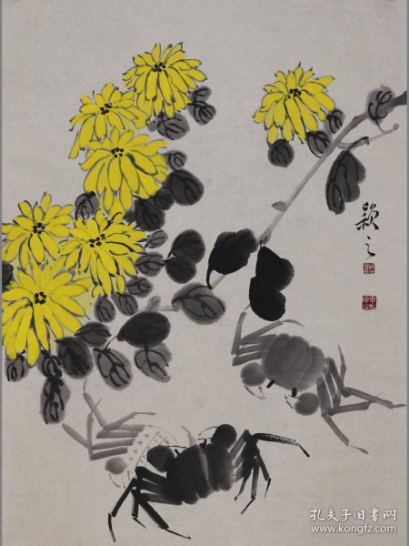 毕老师，花卉