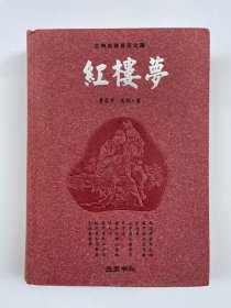 红楼梦：古典名著普及文库