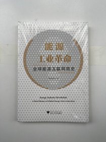 能源工业革命 全球能源互联网简史