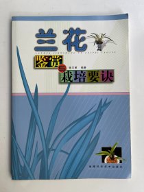 兰花鉴赏与栽培要诀