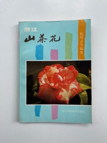 浙江山茶花