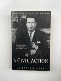 A Civil Action