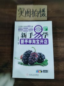 新手易学·新手学淘宝开店