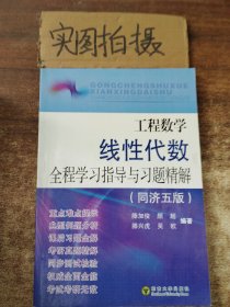 工程数学线性代数全程学习指导与习题精解（同济5版）