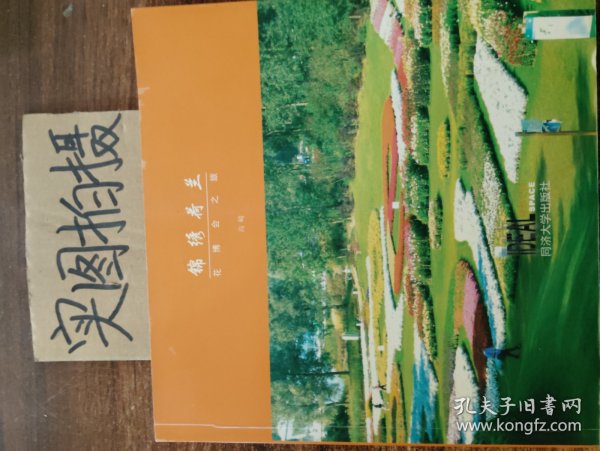 锦绣荷兰：花博会之旅