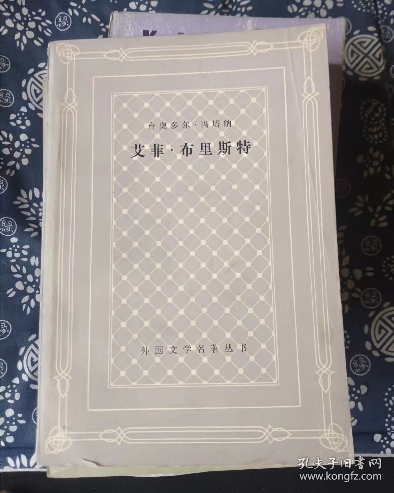 艾菲布里斯特（网格） 作者:  台奥多尔 冯塔纳 出版社:  上海译文出版社【 9正版 馆藏书 內页无笔记，划线 品相见图 实拍图发货】