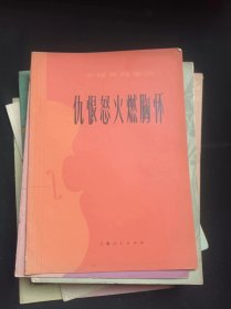 仇恨怒火燃胸怀  作者:  胡君东 出版社:  上海人民出版社/