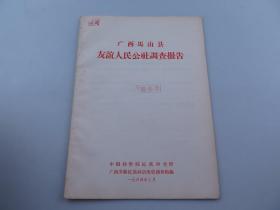 广西马山县友谊人民公社调查报告