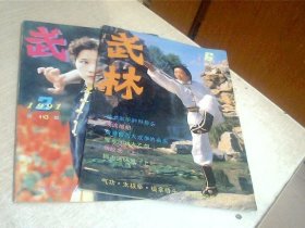 武林1991年第2.6期