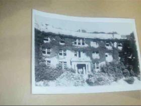 老黑白照片 （40-50年代照片）80年代档案馆翻拍（8号文件夹）