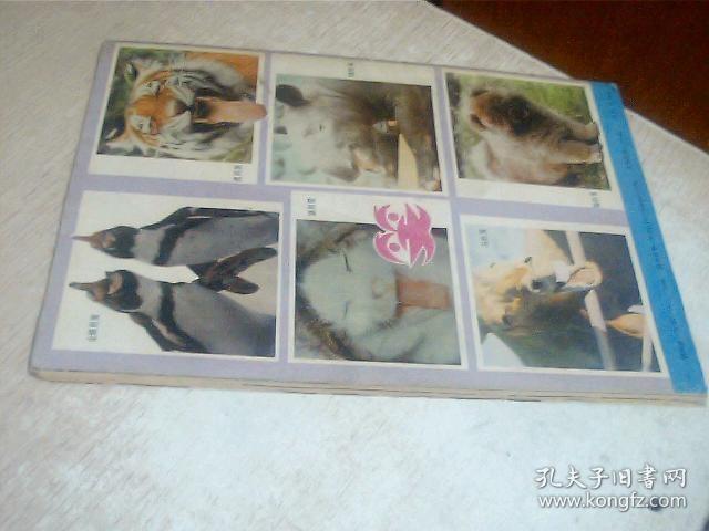 少年科学画报1990年8