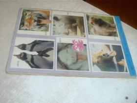 少年科学画报1990年8