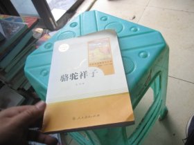 中小学新版教材（部编版）配套课外阅读 名著阅读课程化丛书 骆驼祥子