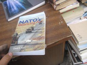 NATO's Balancing Act