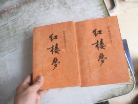 红楼梦（上下）