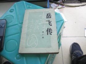 岳飞传(增订本)