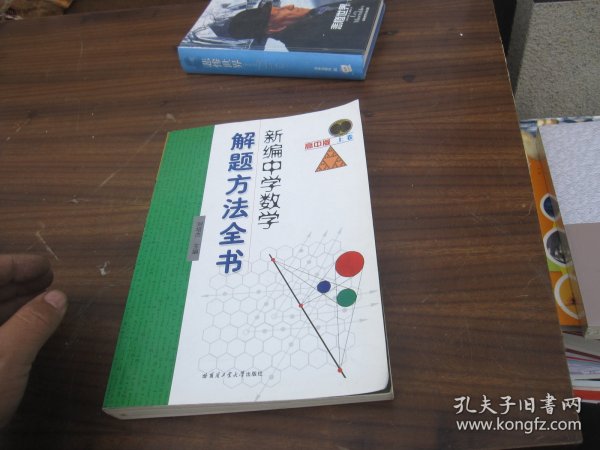 新编中学数学解题方法全书（上卷）（高中版）