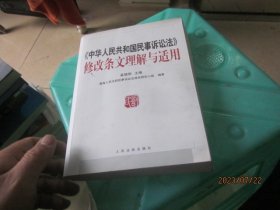 《中华人民共和国民事诉讼法》修改条文理解与适用