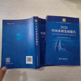 2020中国水利发展报告