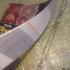 *中文版Photoshop CS3图像处理与等效案例精解