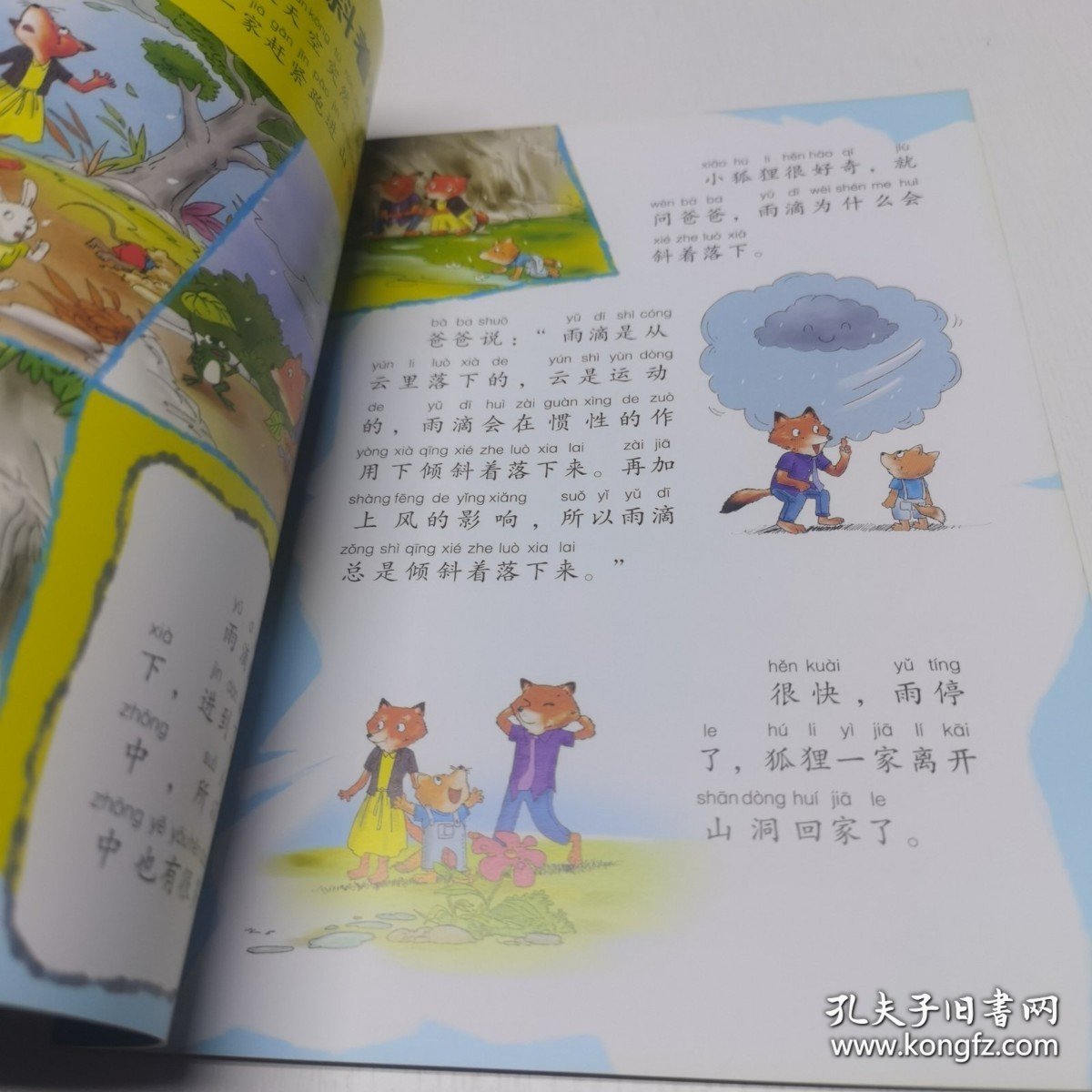 *十万个为什么幼儿版 3-6岁 天气是个捣蛋鬼