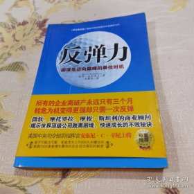 *反弹力：困境是迈向巅峰的最佳时机