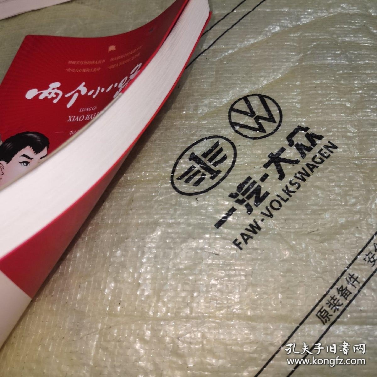 *两个小八路（彩色插图版）