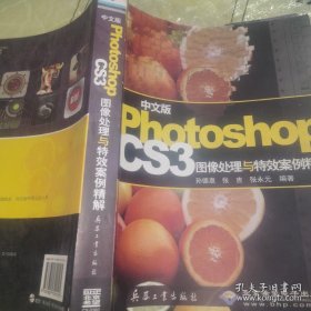 *中文版Photoshop CS3图像处理与等效案例精解