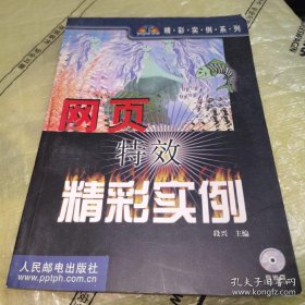 *网页特效精彩实例