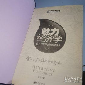 *魅力经济学：放不下的开心经济学读本