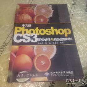 *中文版Photoshop CS3图像处理与等效案例精解