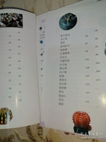 *奇异有趣的仙人掌