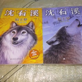 *动物小说大王沈石溪·狼王梦2：魂断荒野+3：王者之魂（注音读本）
