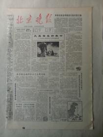 19840328《北京晚报》原版4版。文明始自安全，作者萧乾。老舍先生的一幅题词，作者常人镜。